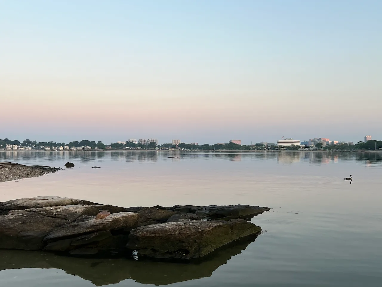 Looking across calm Westcott Cove from Vincent Island, with exposed rocks in the foreground and Stamford’s shoreline beyond.